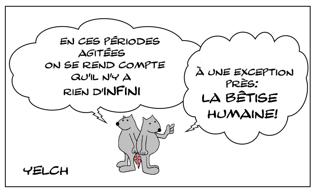 dessin de Yelch sur l’infini et la bêtise humaine