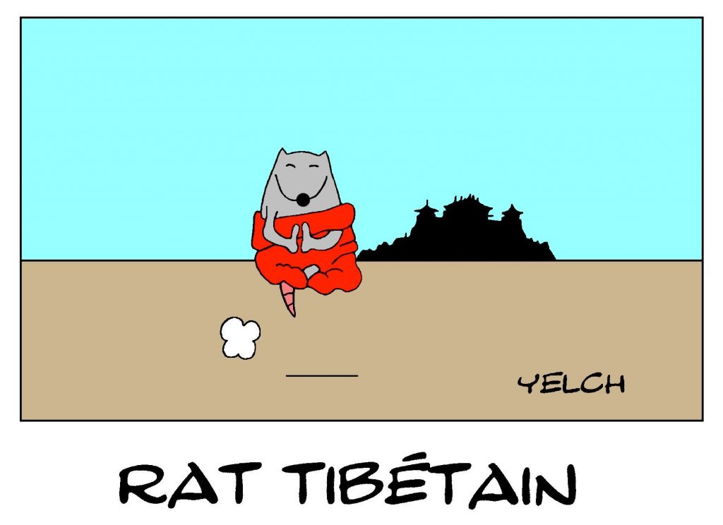 dessin de Yelch sur le Tibet et les rats moines tibétains