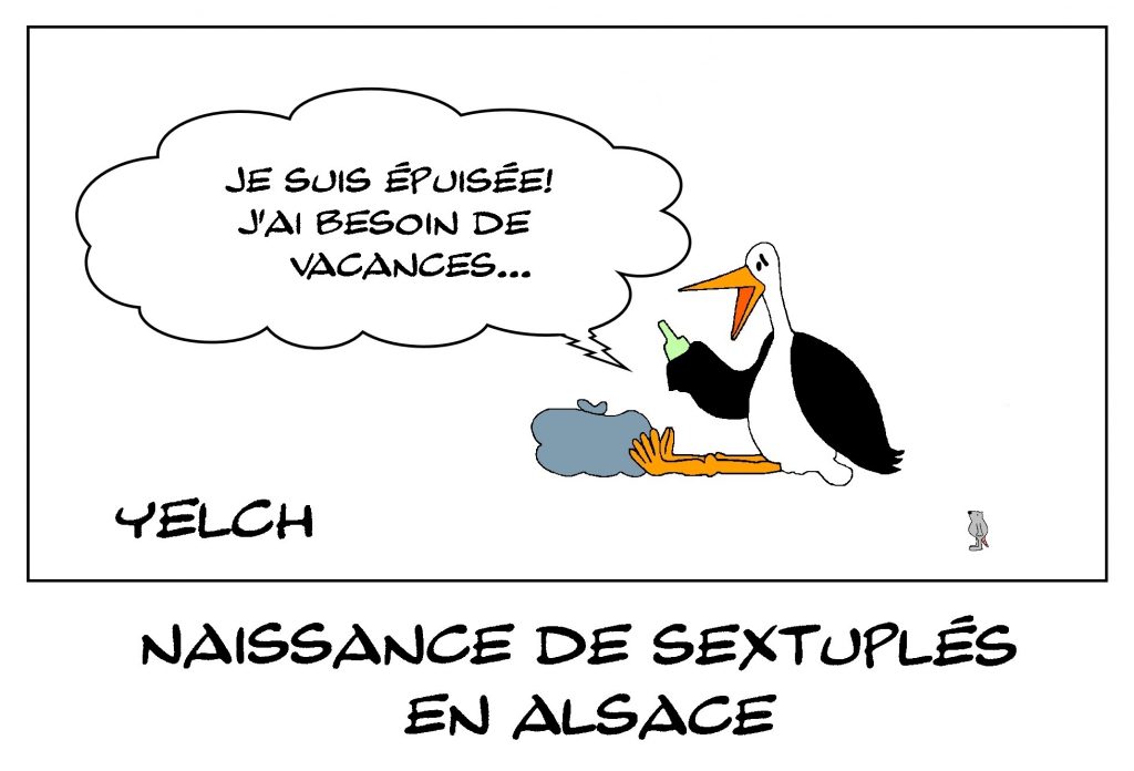 dessin de Yelch sur la naissance de sextuplés à Strasbourg, en Alsace