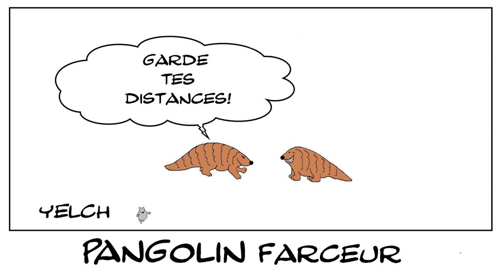 dessin de Yelch sur l’épidémie de coronavirus, les distances sociales et les pangolins