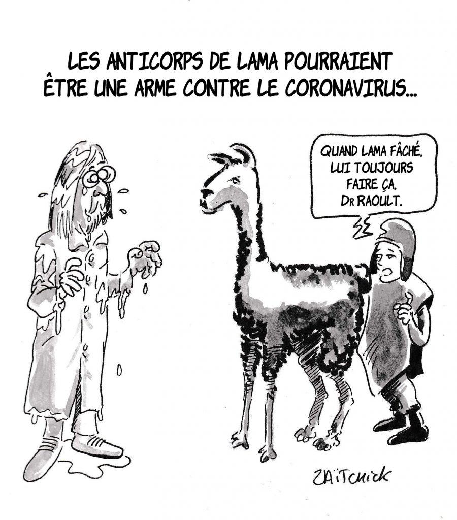 dessin de Zaïtchick sur l’épidémie de coronavirus et les anticorps de lama