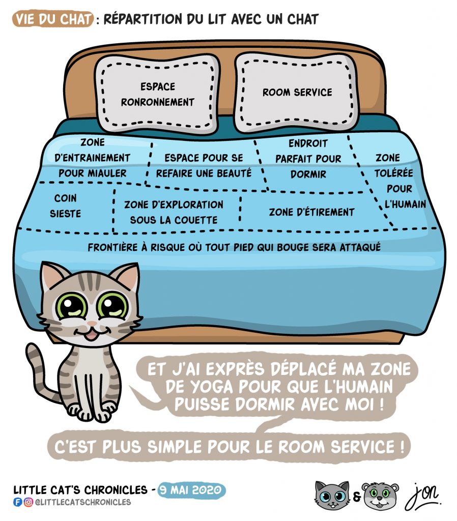 dessin humoristique des Little Cat’s Chronicles sur le lit vu par les chats