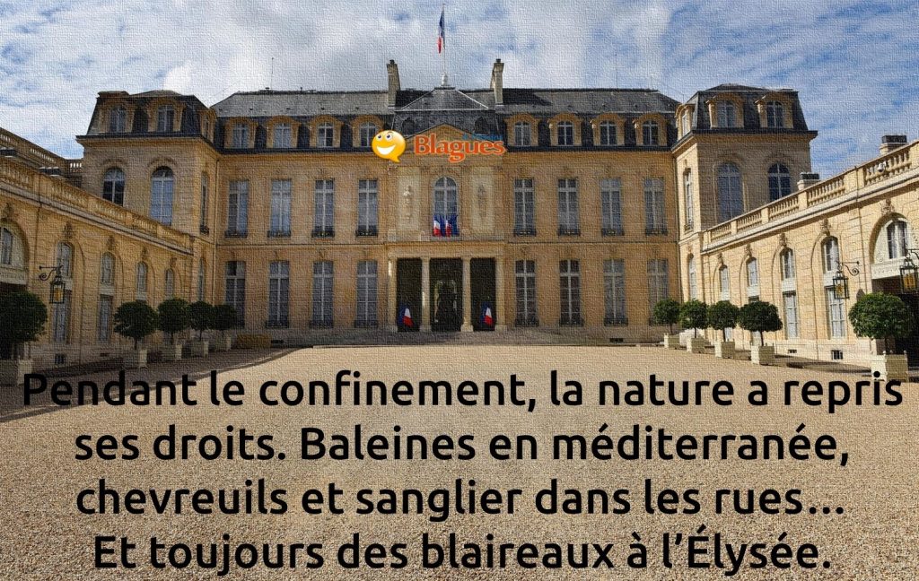 blague sur le confinement et la nature