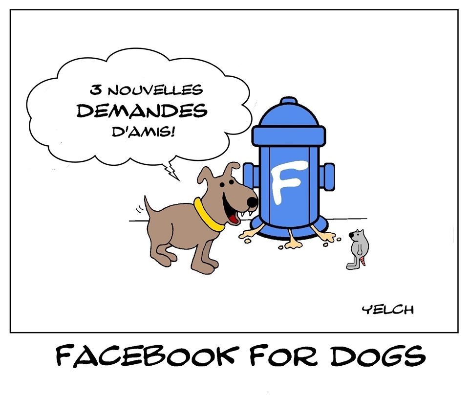 dessin de Yelch sur les chiens et Facebook