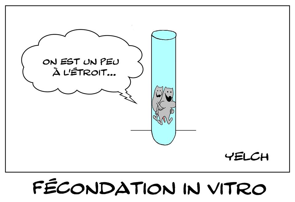 dessin de Yelch sur les rats et la fécondation in vitro