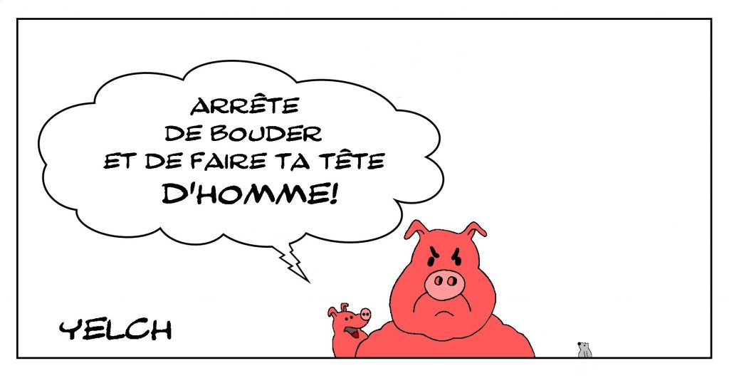 dessin de Yelch sur les cochons et l’expression tête de cochon