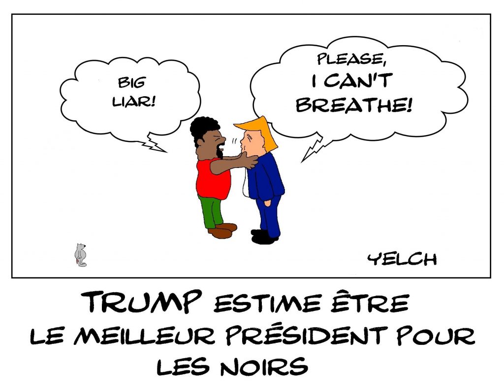 dessin de Yelch sur la violence aux États-Unis et Donald Trump