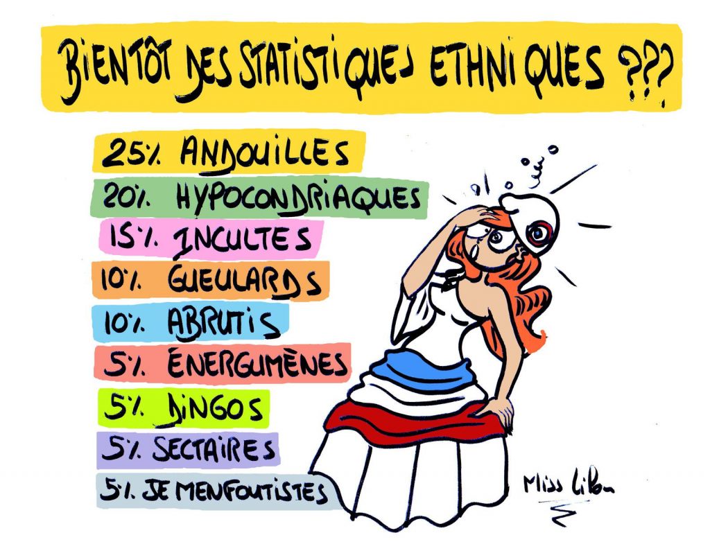 dessin de Miss Lilou sur les statistiques ethniques