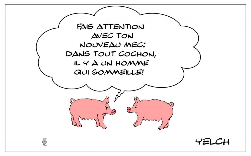 dessin de Yelch sur les cochons et les mecs