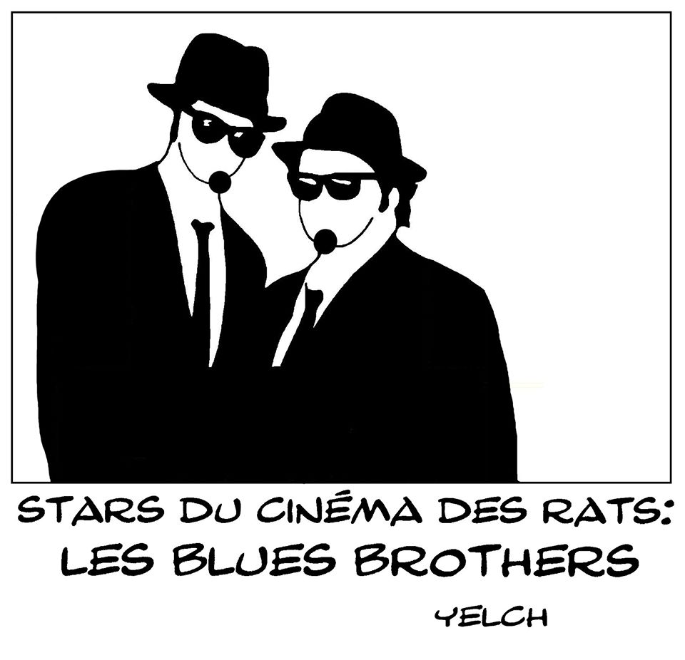 dessin de Yelch sur les Blues Brothers