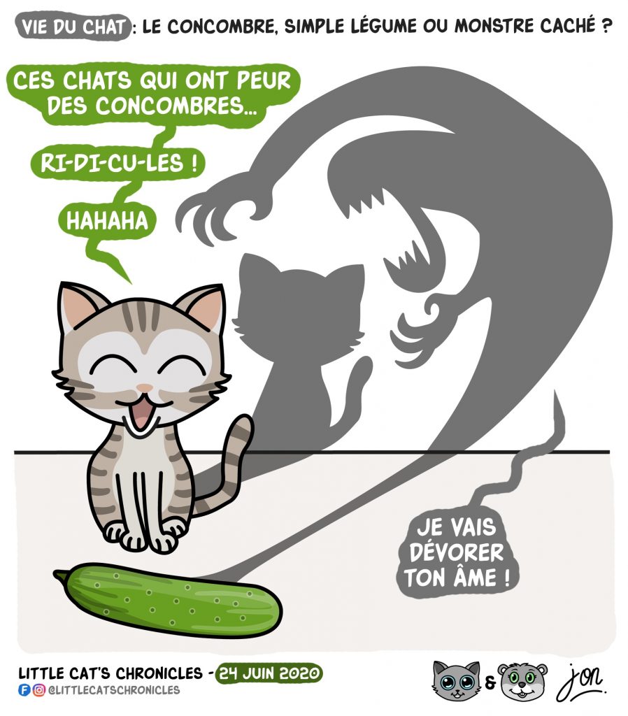 dessin humoristique des Little Cat’s Chronicles sur les chats et la peur des concombres