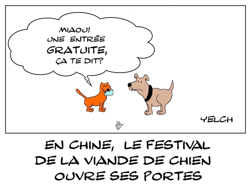 dessin de Yelch sur le festival de la viande de chien à Yulin en Chine