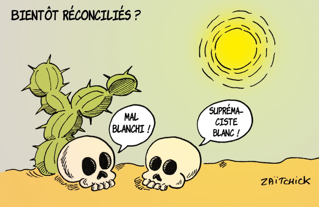 image drôle racisme racistes dessin humour réchauffement climatique écologie