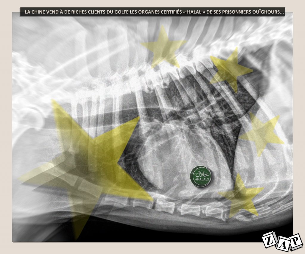 dessin d'actualité de Zap sur la vente par la Chine d’organes halal venant de ses prisonniers Ouïghours