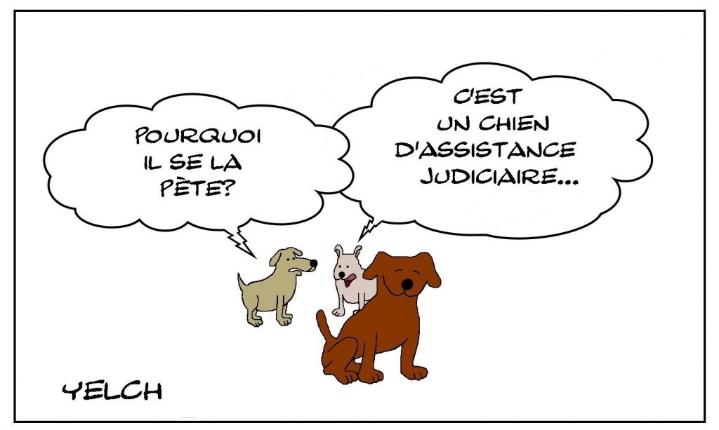 dessin de Yelch sur les chiens et l’assistance judiciaire
