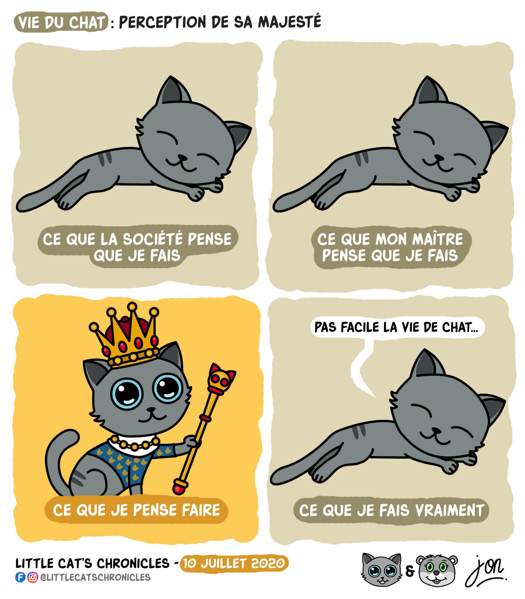 Vie Du Chat Perception De Sa Majeste Blagues Et Dessins