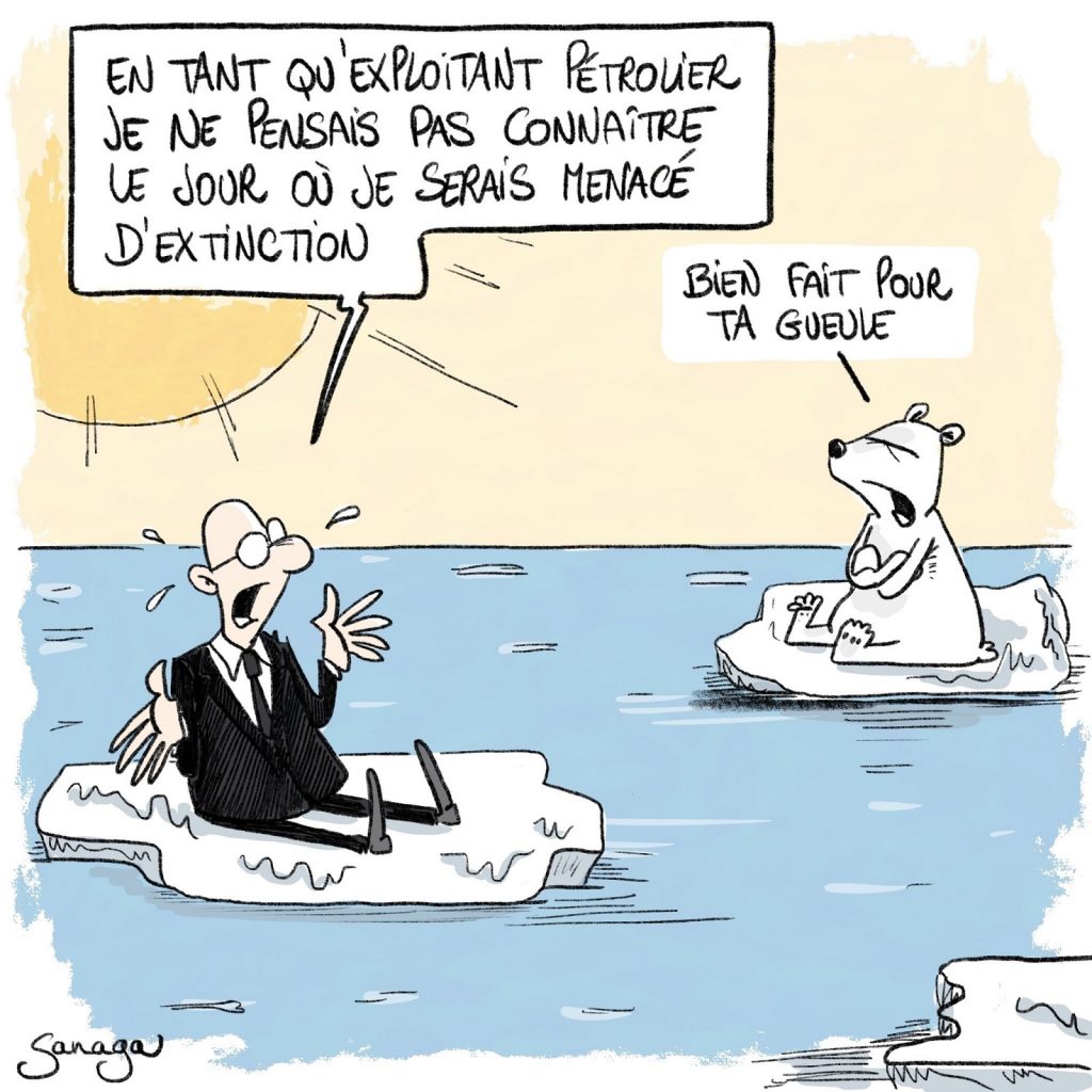 image drôle pétrole humour dessin humoristique écologie ours blanc