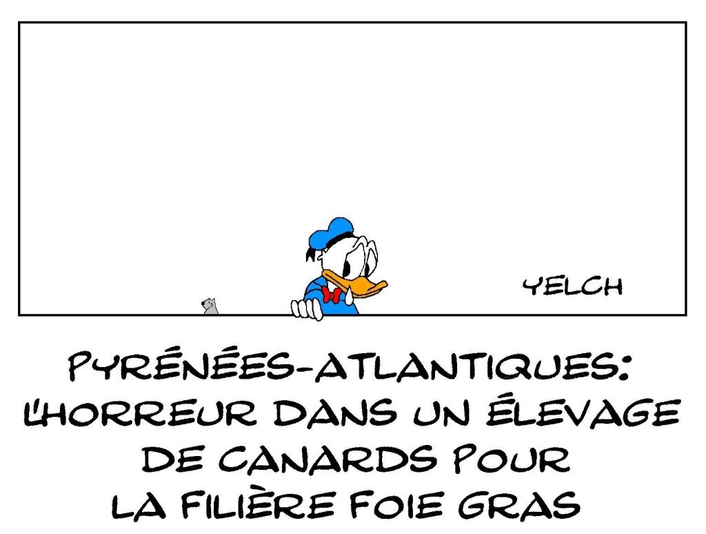 dessin presse humour Donald image drôle élevage de canards Pyrénées-Atlantiques
