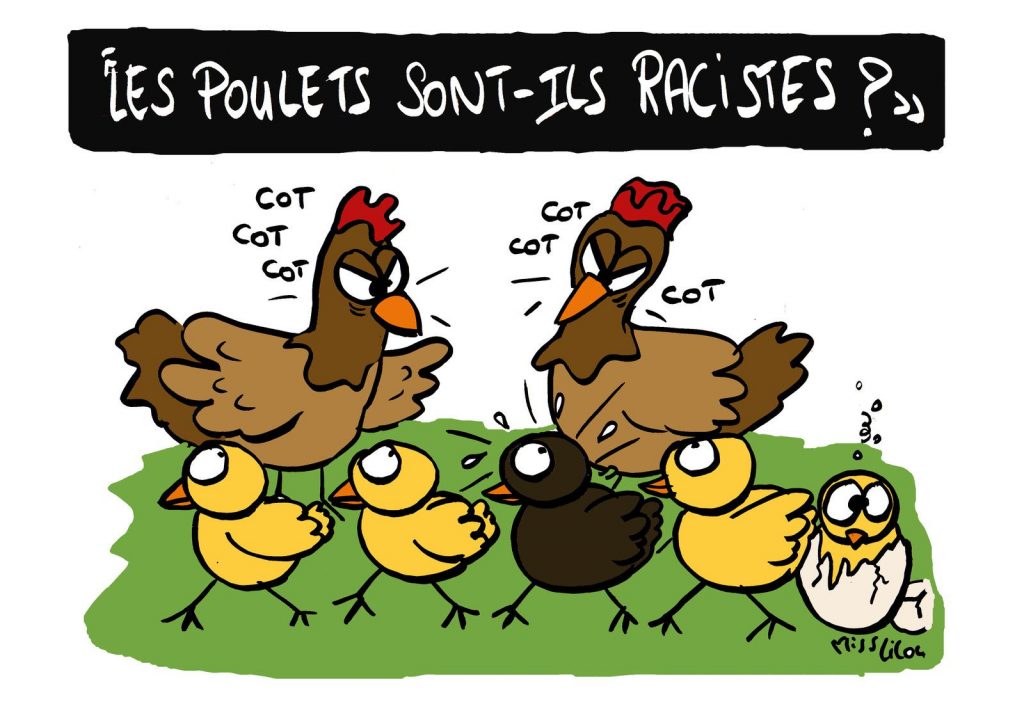 blague dessin humour racisme police image drôle poulets