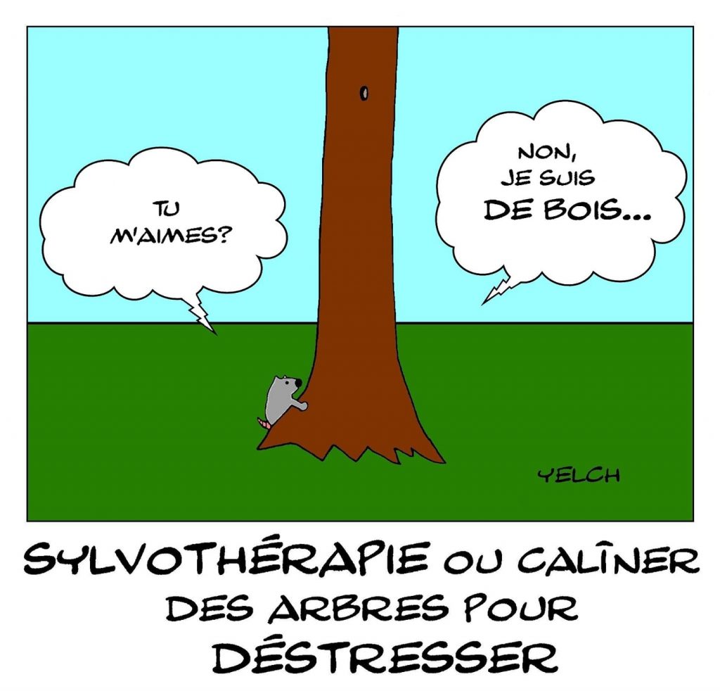 dessin humour sylvothérapie image drôle câlins arbres