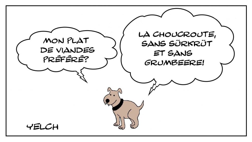 dessin presse humour Seppi chien alsacien image drôle Alsace