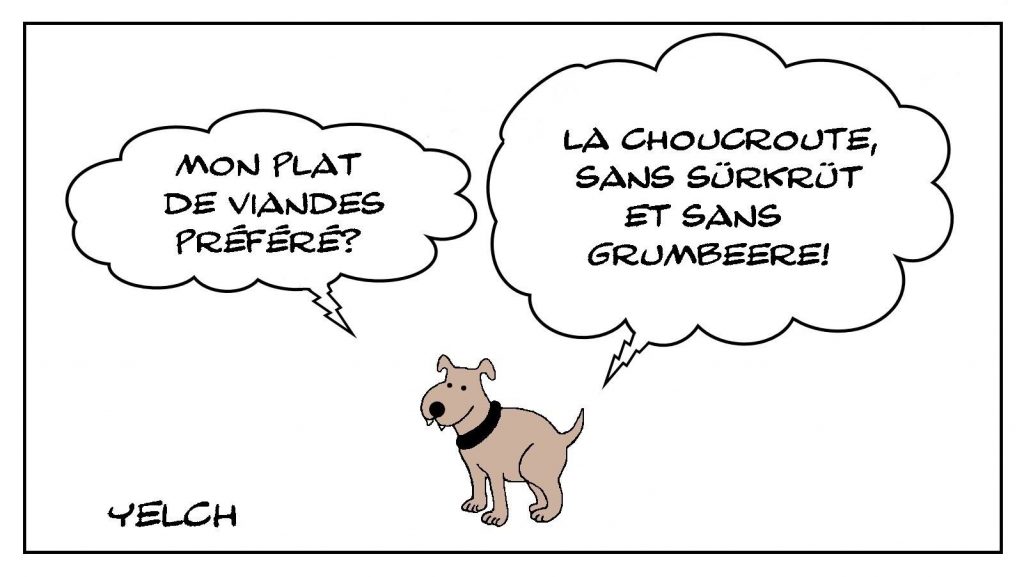 dessin presse humour Seppi chien alsacien image drôle Alsace