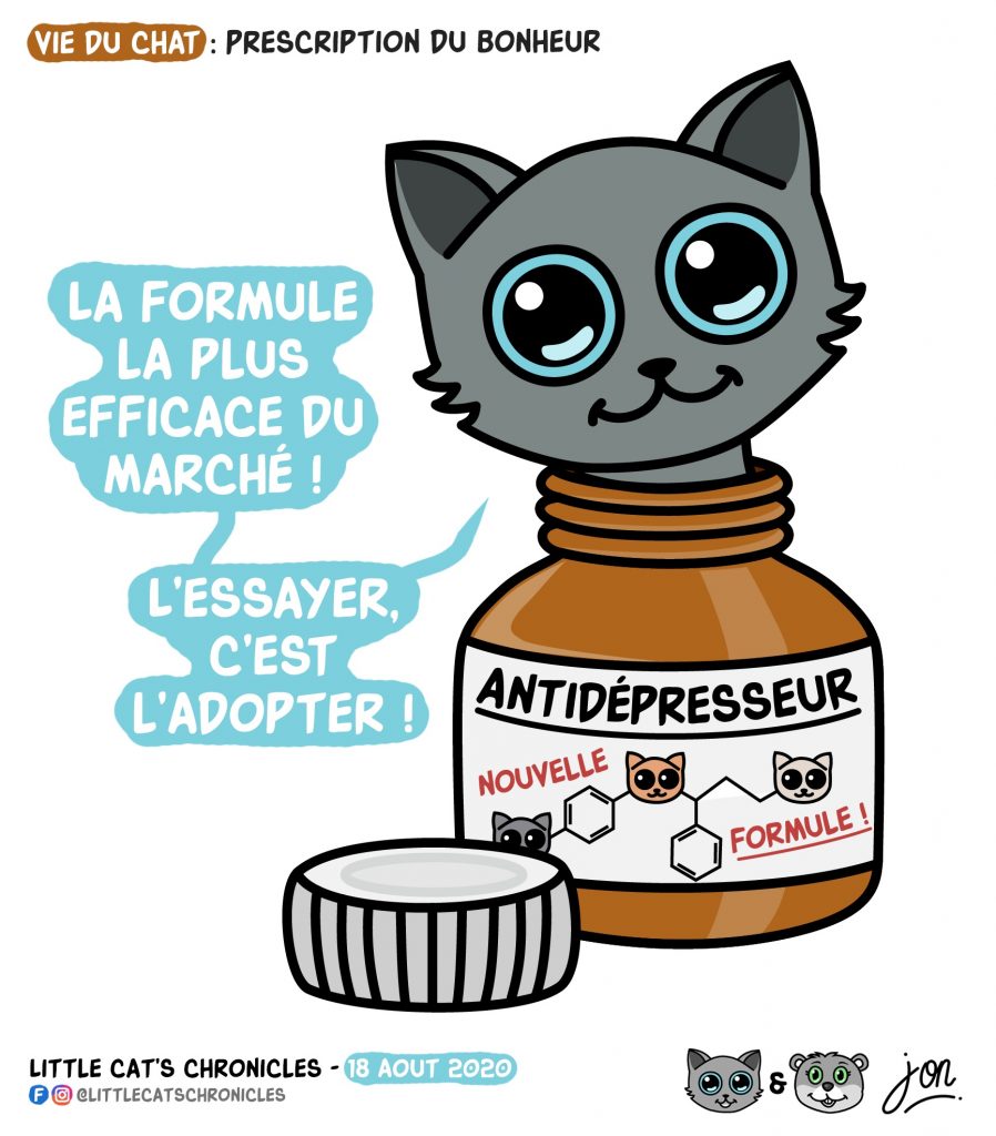 dessin humour image drôle humoristique little cat blague image drôle dépression antidépresseur