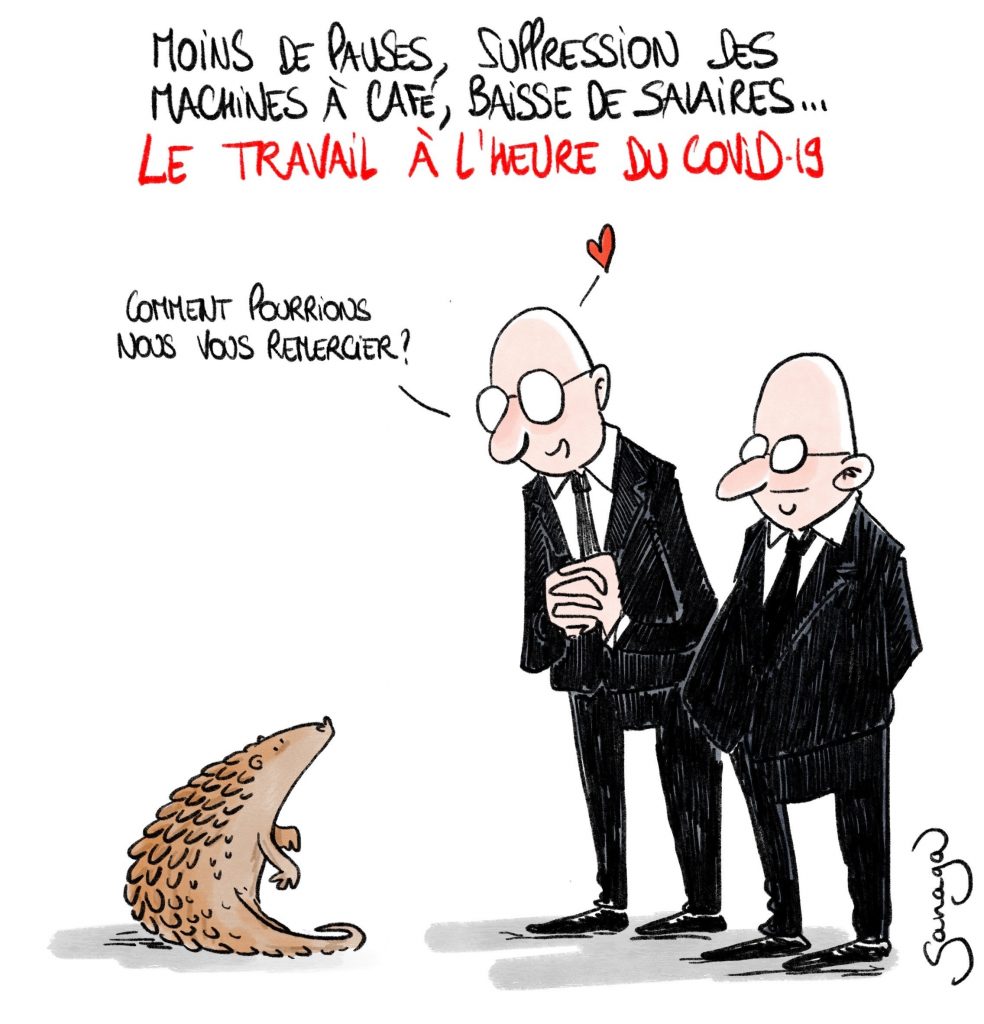 dessin presse humour coronavirus covid-19 image drôle travail patrons pangolin