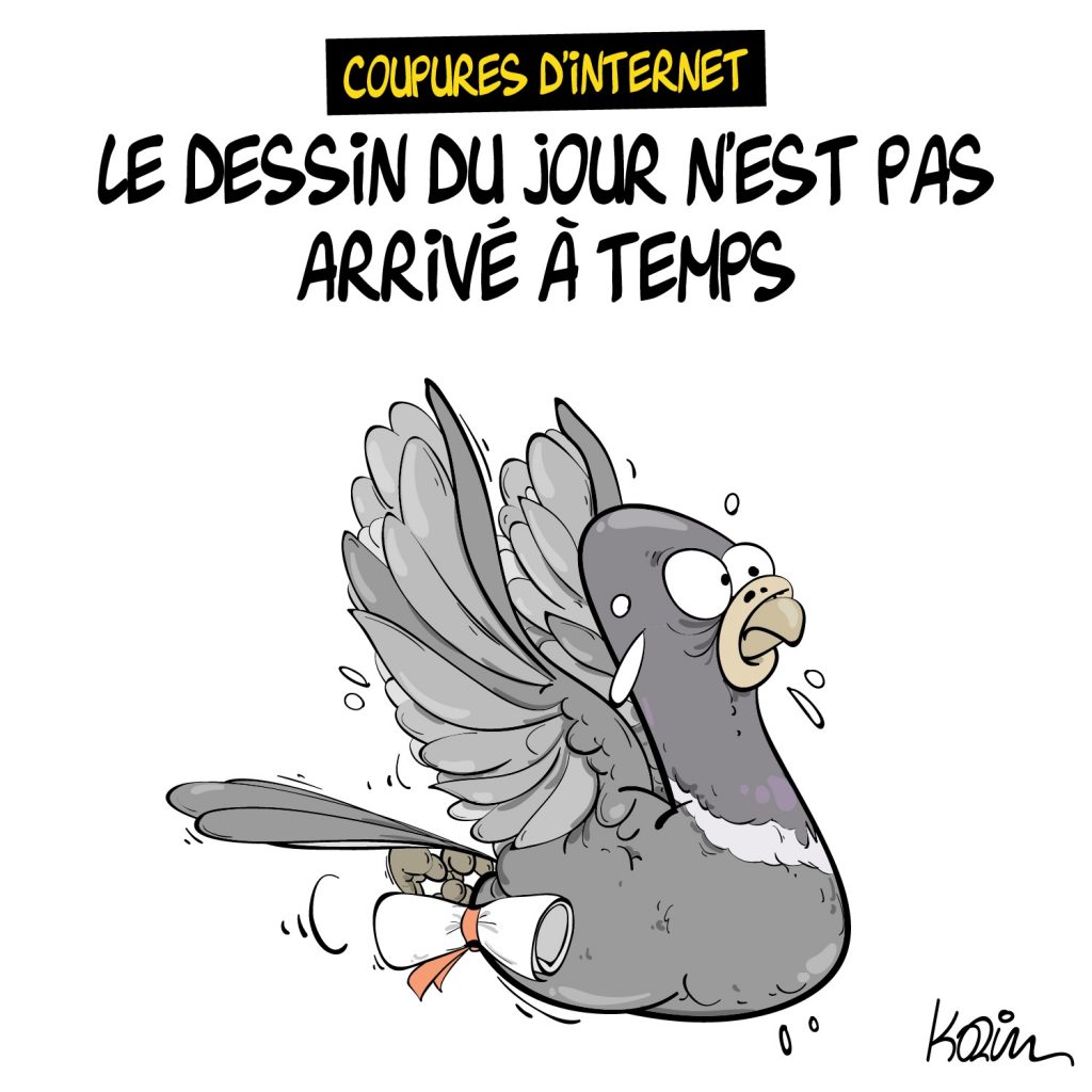 dessin presse humour coupure internet image drôle pigeon voyageur