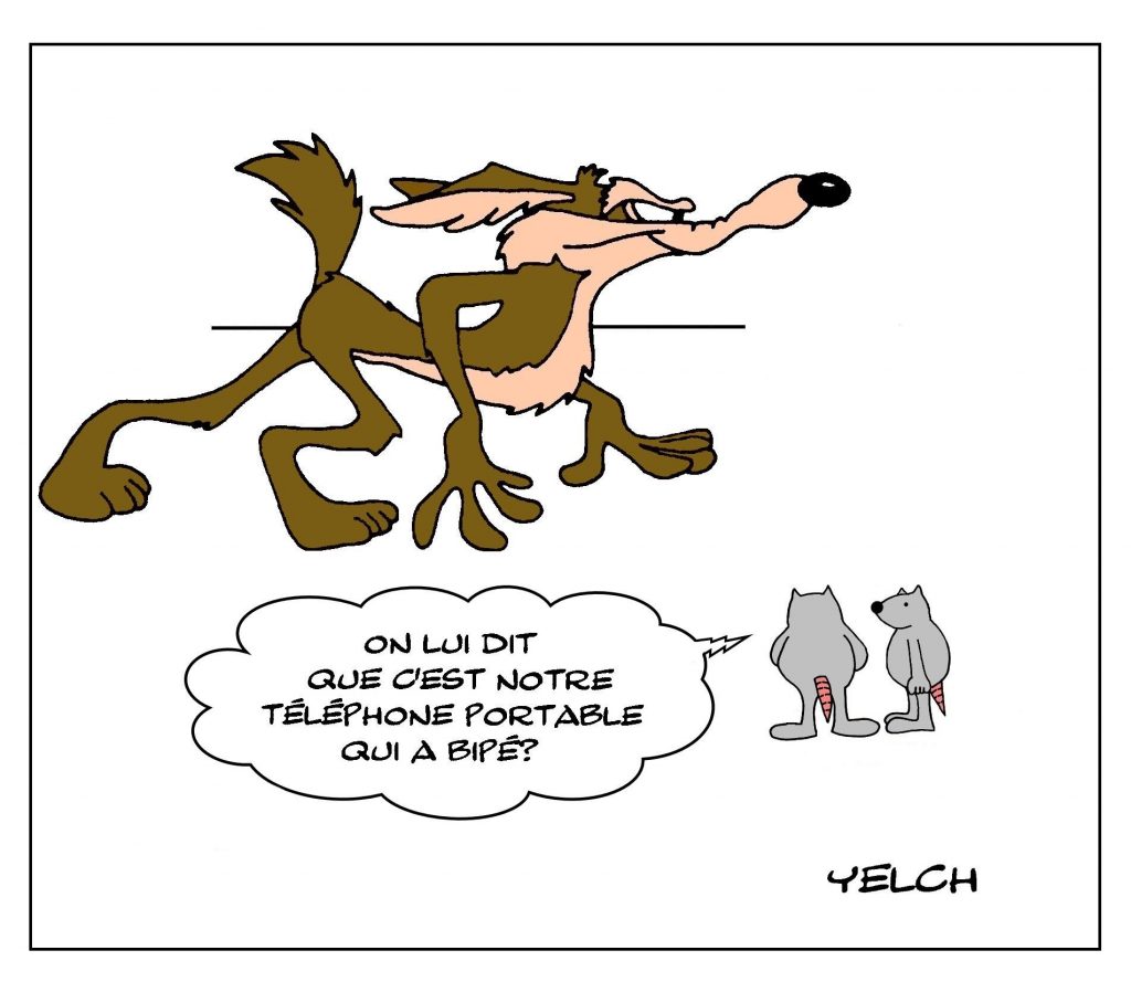 dessins humour Bip Bip Coyote image drôle sonnerie téléphone