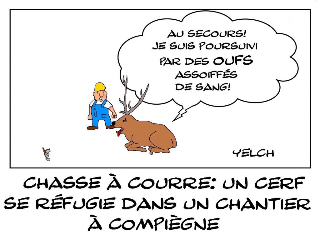 dessins humour chasse à courre image drôle cerf refuge chantier Compiègne