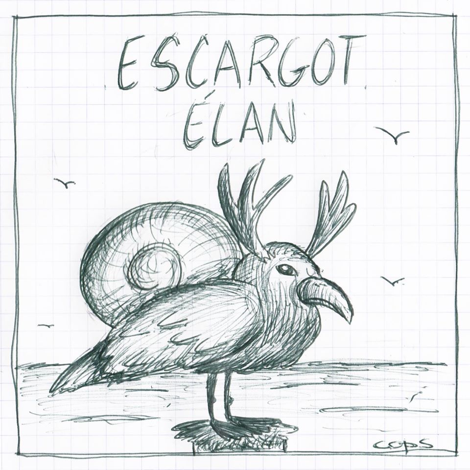 gag image drôle escargot élan dessin blague humour jeu de mots goéland
