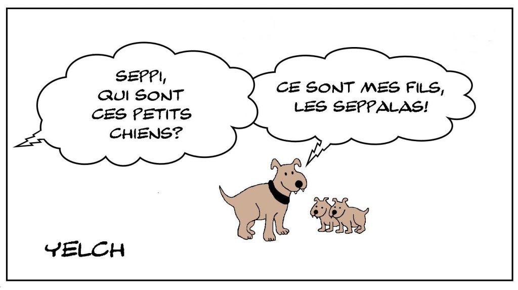 dessin presse humour Seppi chien alsacienimage drôle Alsace