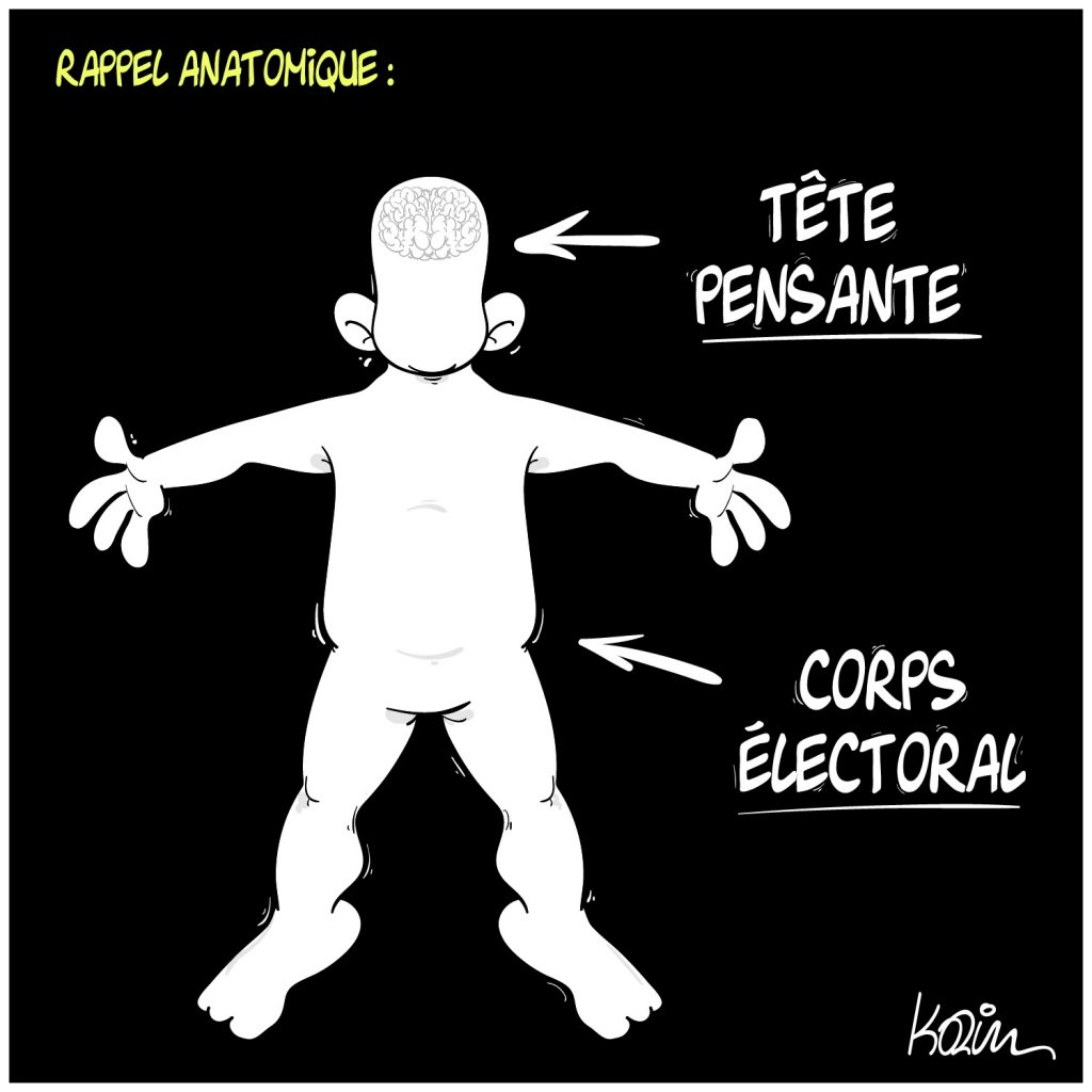 dessin presse humour anatomie élections image drôle tête pensante