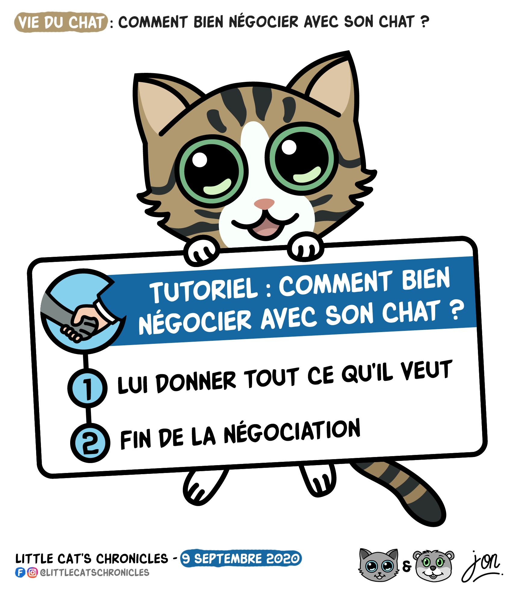 Blague Vie Du Chat Blagues Et Dessins