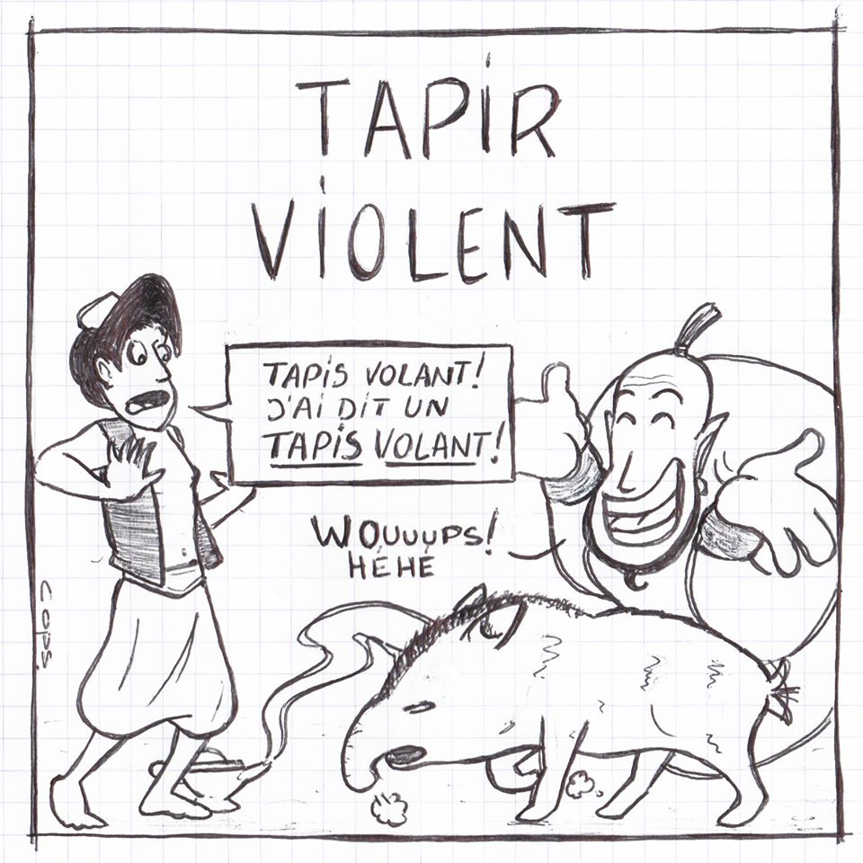 gag image drôle Aladin blague humour génie tapis volant tapir
