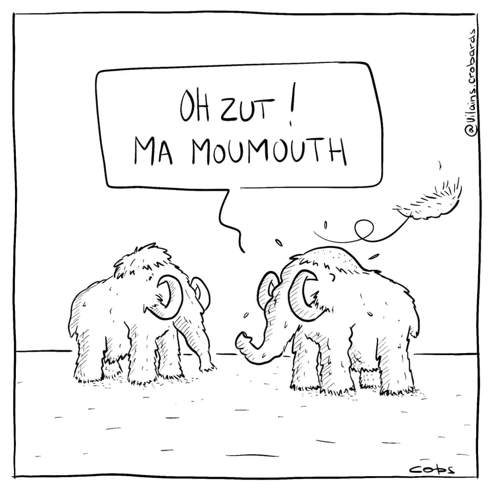 gag image drôle mammouth dessin blague humour moumoute