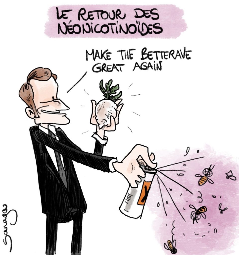 dessin presse humour Emmanuel Macron image drôle néonicotinoïde abeille betterave