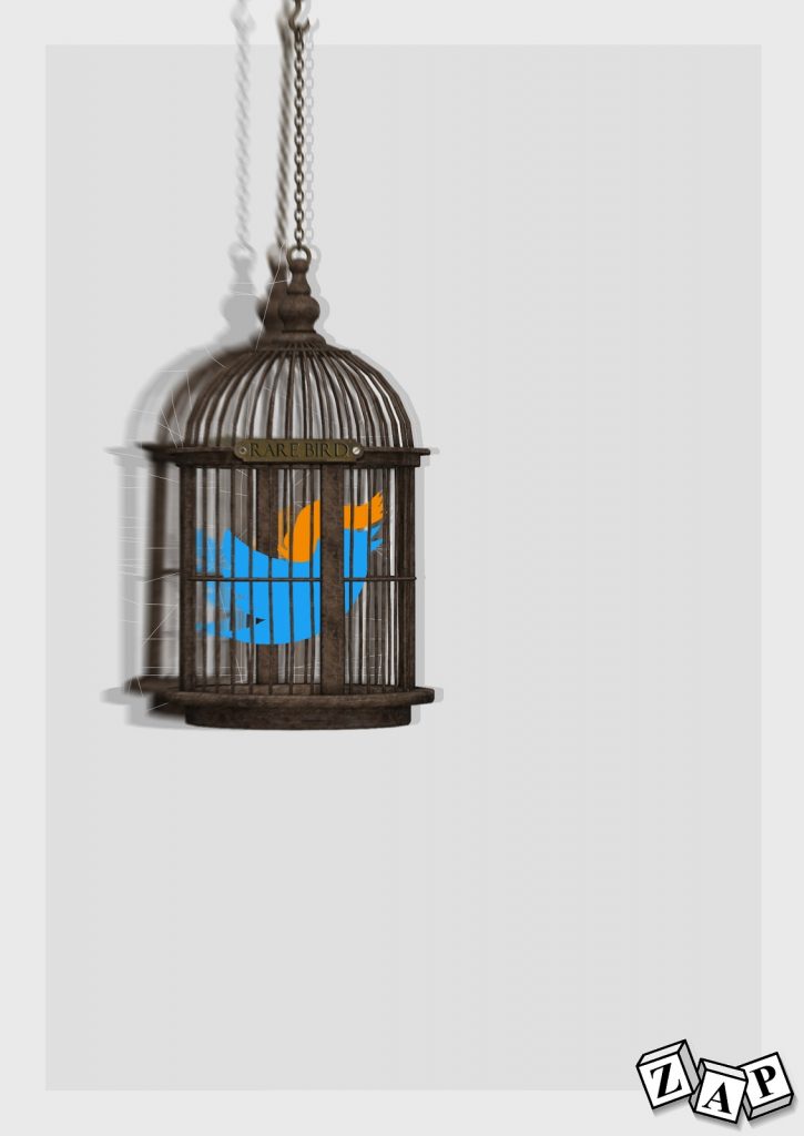 dessin presse humour Donald Trump image drôle Twitter oiseau rare