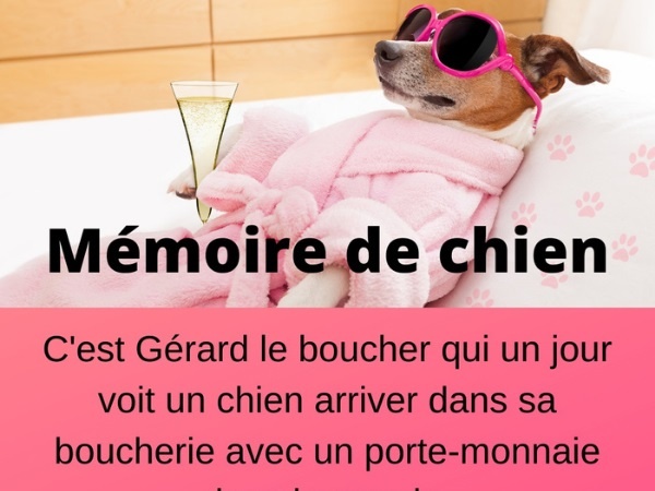 humour, blague sur la mémoire, blague sur le commerce, blague sur les bouchers, blague sur les chiens, blague sur les oublis, blague sur l’intelligence