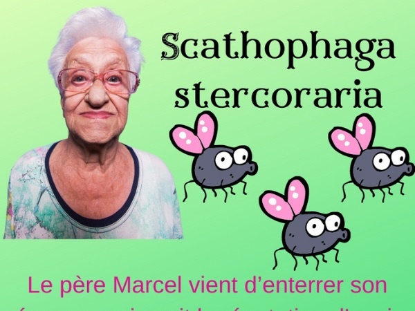 humour, paysan, blague sur les paysans, hygiène, blague sur l'hygiène, mort, blague sur la mort, veuf, blague sur les veufs, haleine, blague sur l'haleine, regret, blague sur les regrets, mouche, blague sur les mouches, mouche à merde, blague sur les mouches à merde, visage, blague sur les visages