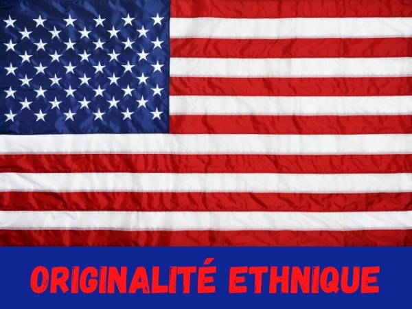 humour, blague sur les américains, blague sur les anglais, blague sur le métissage, blague sur les sangs mêlés, blague sur le brassage des populations, blague sur la diversité