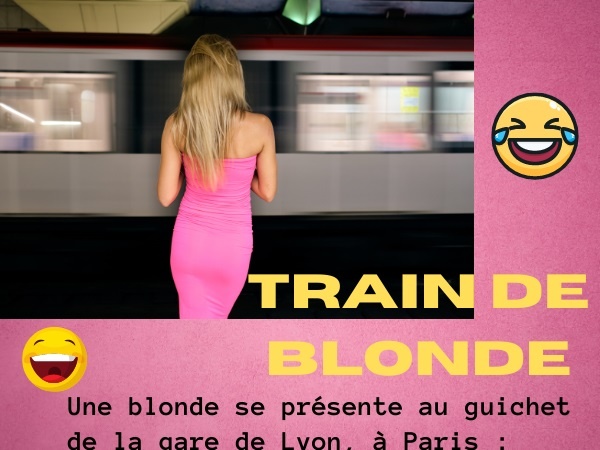 humour, blague sur les blondes, blague sur les gares, blague sur les trains, blague sur les destinations, blague sur les billets, blague sur la curiosité