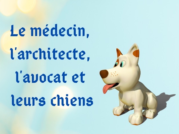 humour, blague sur les métiers, blague sur les avocats, blague sur les médecins, blague sur les architectes, blague sur les chiens, blague sur les comparaisons