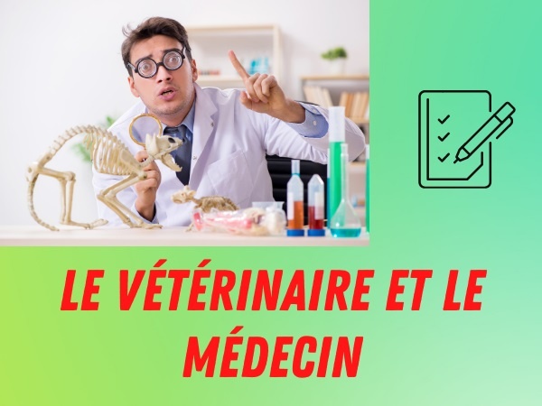 humour, blague sur les médecins, blague sur les vétérinaires, blague sur les patients, blague sur les diagnostics, blague sur les abattoirs, blague sur les symptômes