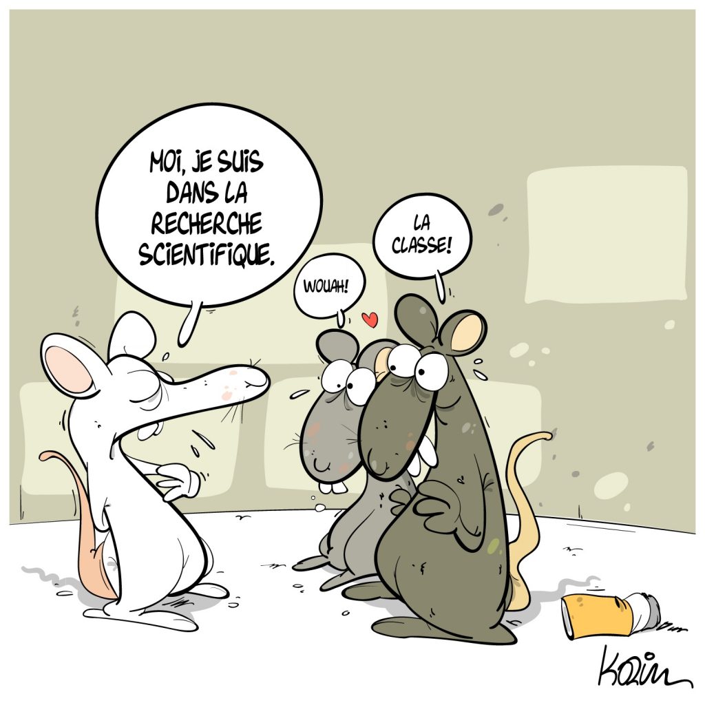 dessin presse humour rats laboratoire image drôle recherche scientifique