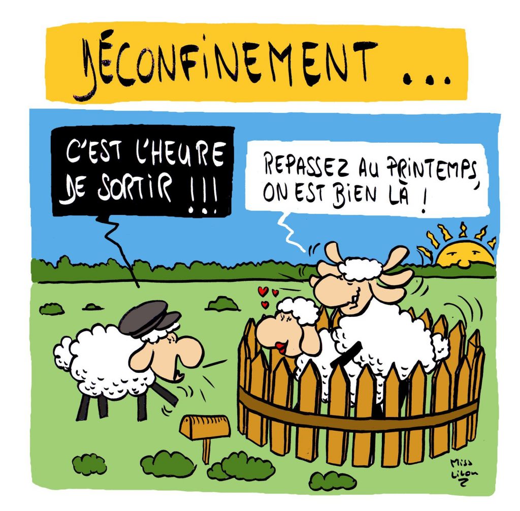 dessin presse humour coronavirus confinement image drôle mouton déconfinement