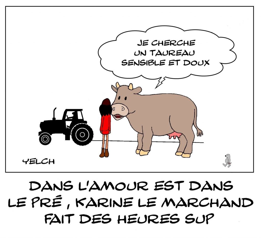 dessins humour Karine Le Marchand image drôle L’amour est dans le pré