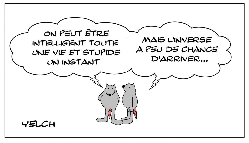 image drôle philosophie dessin humour intelligence stupidité