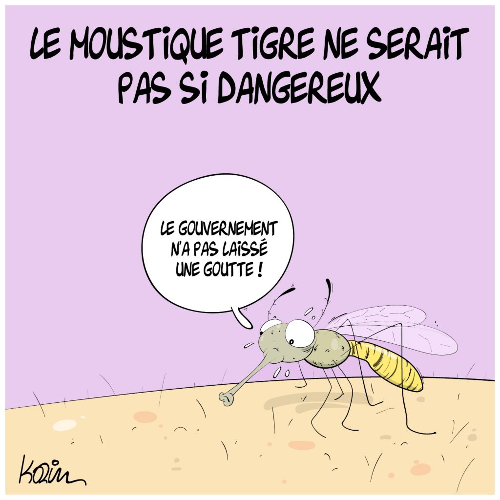 dessin presse humour moustique tigre image drôle impôts taxes danger